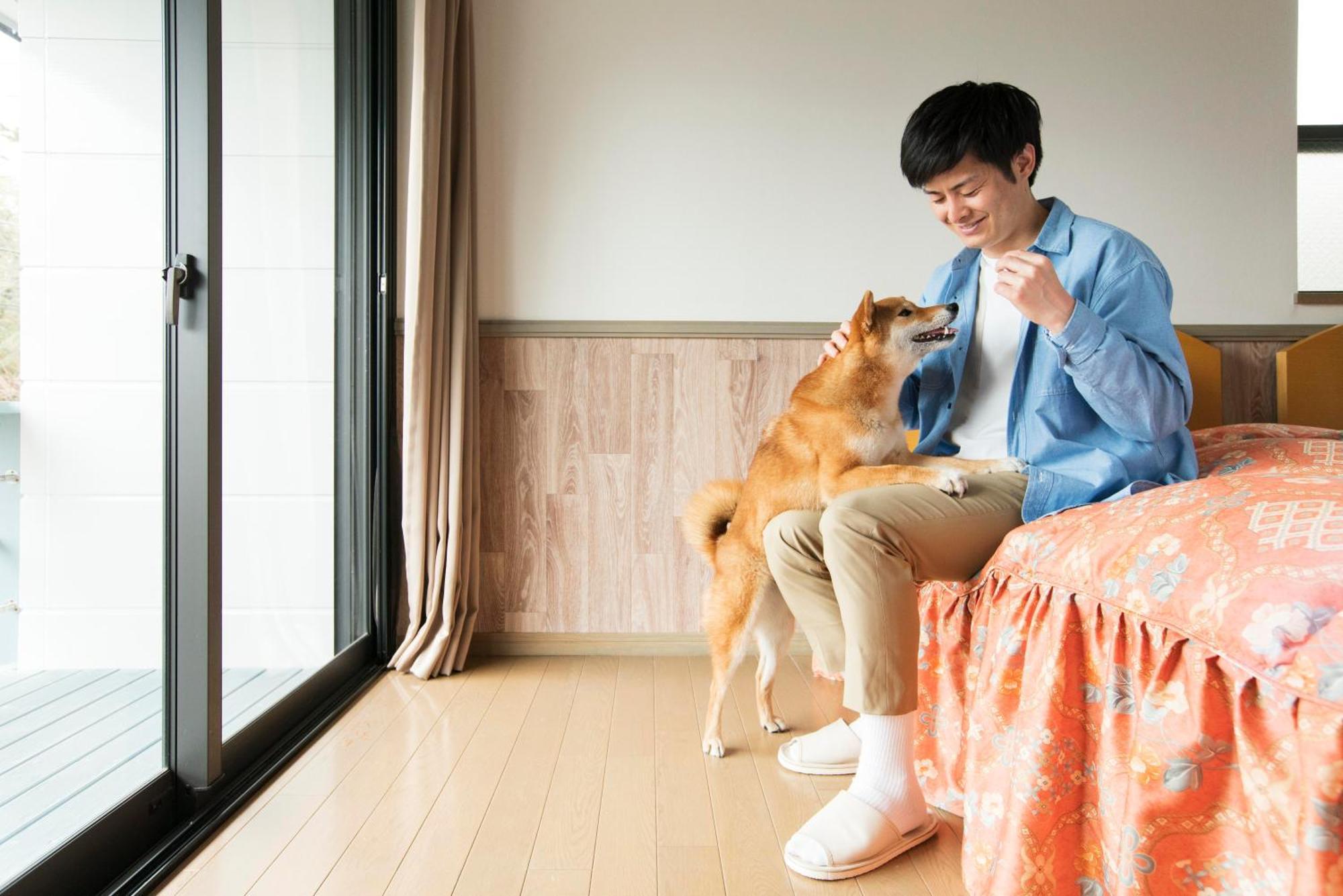Izumigo Izukogen Dog Paradise Hotel & Cottage Itō Extérieur photo